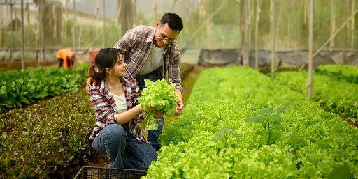 What Every First Time Importer Should Ask Before Placing an Order